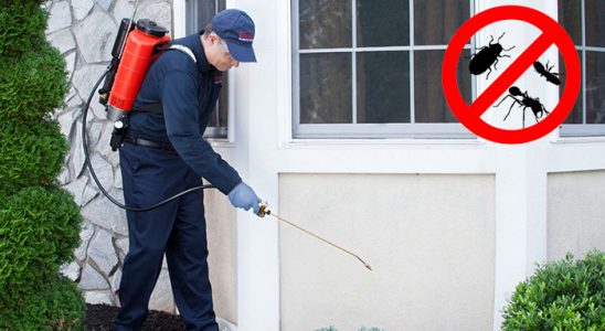Sındırgı Gümüşkurt İlaçlama böcek ilaçlama ve haşere kontrolü — ilaclama-tr.com